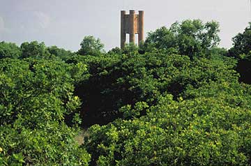 Watertank of Residential Zone