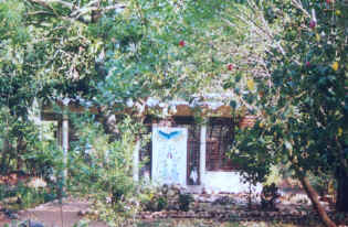 Aladdin's Cave.., hidden in Fertile Windmill's forest..