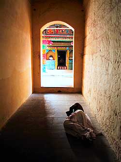 Heavenly repose