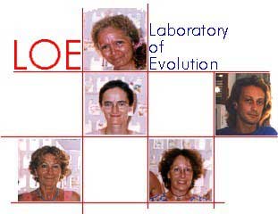 Laboratory of Evolution team