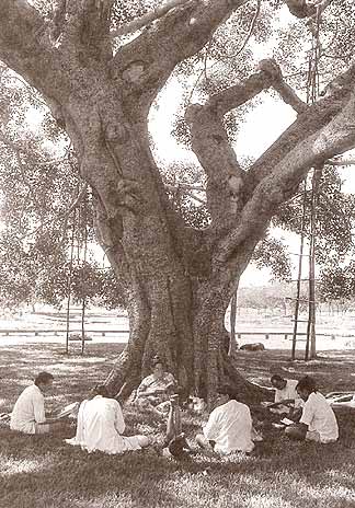 Aurovilians reading Savitri under the banian tree, 1993  (photo by Ireno)