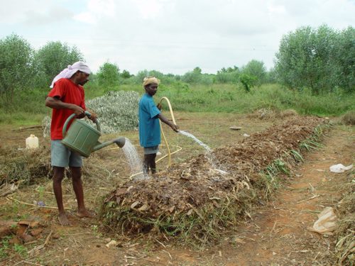 Learning to make compost piles using surrounding materials