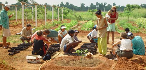 Many different Annadana workshops take place in AV's Botanical Garden