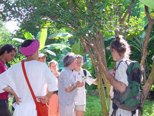 Interesting communcations with Maurice, renown beekeeper from France