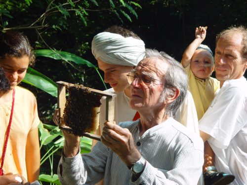 Honey bee workshop with Maurice, visiting from Europe