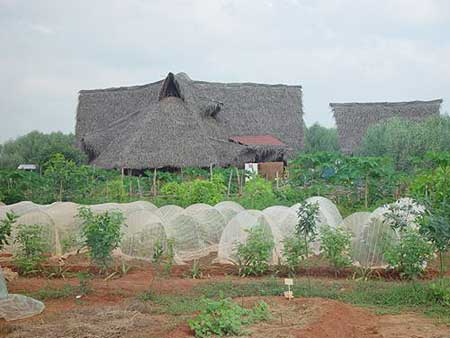Part of the first settlements in the Gardens