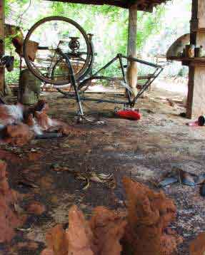 Termites and bicycles...
