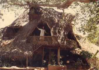 Jan in the old house