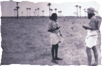Pitchandikulam area before afforestation