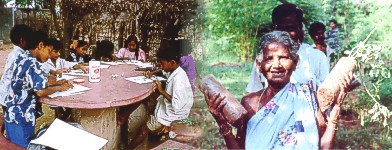 Environmental awareness programs for the bioregion