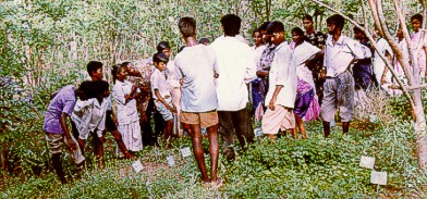Children from the bioregion visiting Medicinal Plant Conservation Park