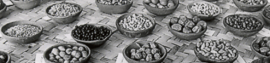 Collection of seeds in the seed museum