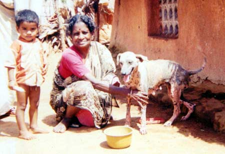 The animal care work in the villages is intense and demanding, and generally very much appreciated..