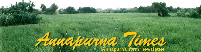 Annapurna Times