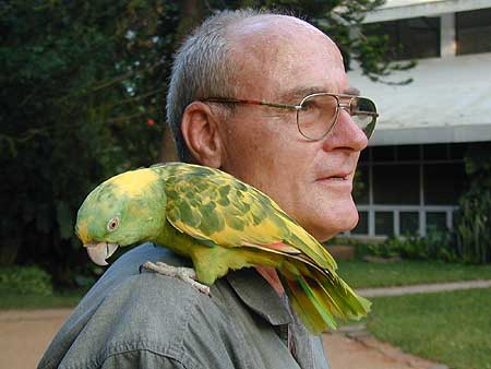 Artura perched on Thomas' shoulder