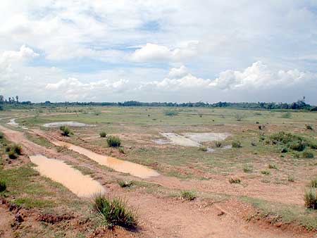 The lake of Irumbai has dried up except for a few centimeters of water from unexpected pre-monsoon rains. There should be 60-90 centimeters of water after a good monsoon.