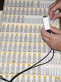 A few of the over 2000 ampoules with pathological information.