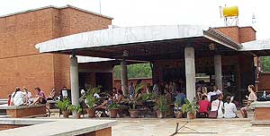 Coffee Shop