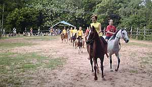 Pony Farm