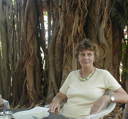 Tineke, keeping an eye on things from the lunch table under the magnificent Banyan tree around which the Center Guesthouse is  built..