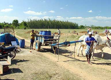 A vandi (bullock cart) brings much needed water to the site