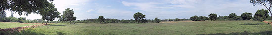 The as yet quite barren area of the International Zone, waiting for future Cultural Pavilions to materialise..