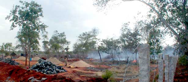 On the plot concerned, vegetation has been slashed and burnt..