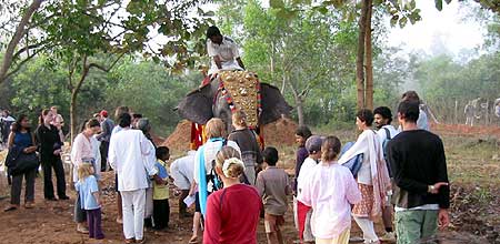 ... Pondy's temple elephant Lakshmi, who came to lay a brick as well..