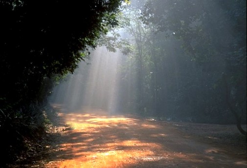 A forest path in Auroille
